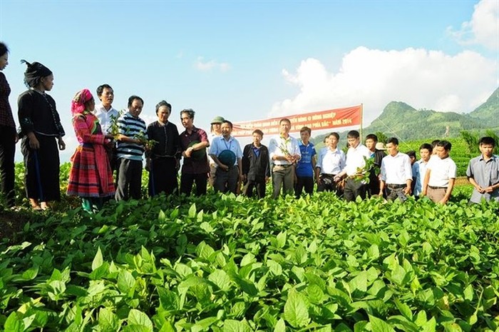 Ảnh minh họa: Chinhphu.vn