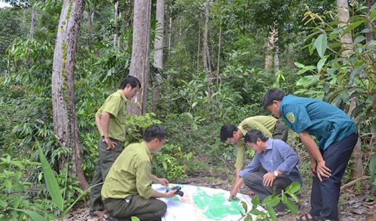 Ảnh minh họa: Báo Kon Tum