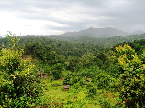 Ảnh minh họa: baochinhphu.vn