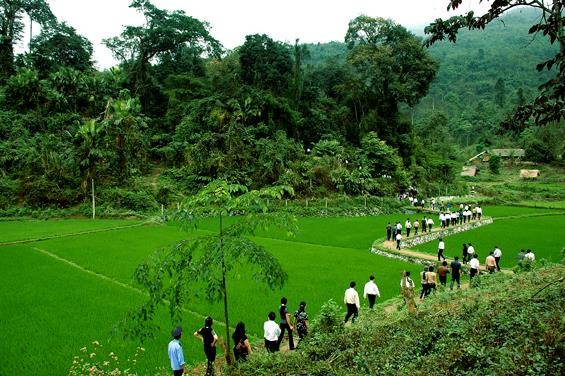 Ảnh minh họa: baotintuc.vn