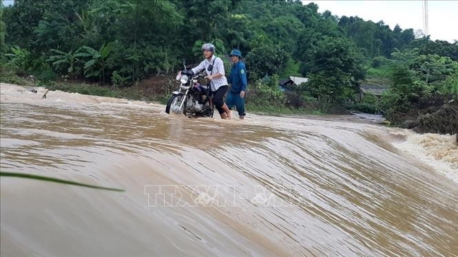 Ảnh minh họa: TTXVN