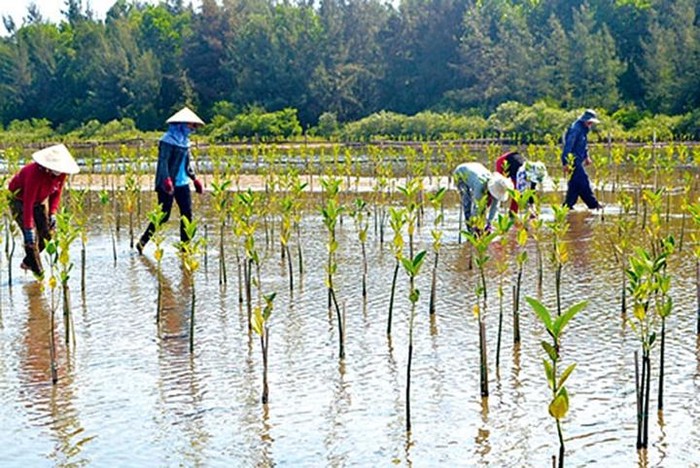 Ảnh minh họa: Báo Nhân dân