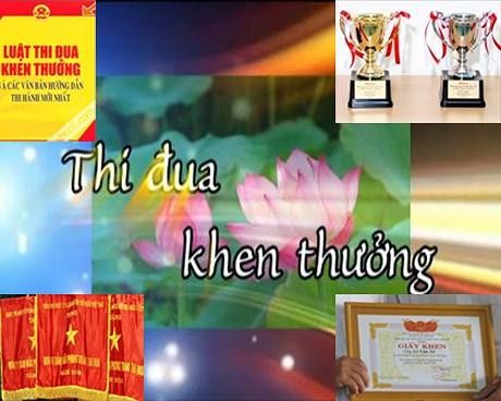 Hội đồng họp định kỳ 06 tháng một lần để đánh giá công tác của Hội đồng, tổng hợp tình hình phong trào thi đua và công tác khen thưởng của cả nước.