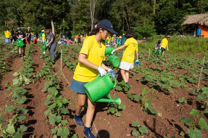 Học sinh Point Avenue chăm sóc cây trồng tại Trại hè Lãnh đạo Quốc tế 2022.