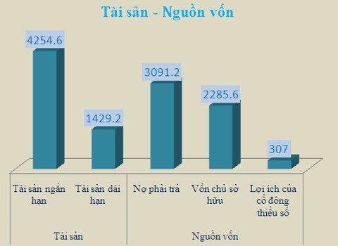 Đơn vị: Tỷ đồng.