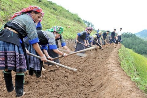 Ruộng bậc thang có nhiều ở các tỉnh vùng núi phía Bắc như Hà Giang, Lào Cai, Yên Bái... Những tầng - thang ruộng thường có diện tích rộng hẹp khác nhau và tùy từng tộc người mà cách khai khẩn ruộng cũng khác nhau. Trong ảnh: Ruộng bậc thang không phải từ tạo hóa tạo nên mà do người dân tộc sáng tạo ra.