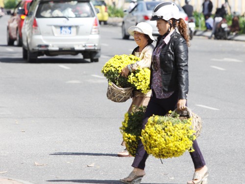 Nhưng người dân vẫn tìm mọi cách lấy hoa ra