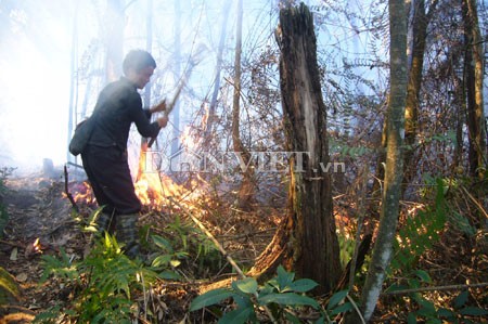 Với nỗ lực dập lửa không biết mệt mỏi, các lực lượng chữa cháy tỉnh Lào Cai đã dập tắt hoàn toàn tại vườn Quốc gia Hoàng Liên