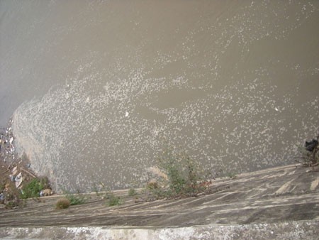 Bọt trắng trôi dạt vào ven bờ sông Hồng thuộc địa phận tổ 52 , phường Kim Tân, thành phố Lào Cai.