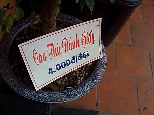 Cao thủ đánh giày mà giá rẻ quá trời!