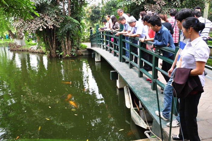 Chiếc cầu bắt qua một đoạn trên ao cá luôn đông người dừng lại ngắm nhìn các loại cá đang bơi lội.