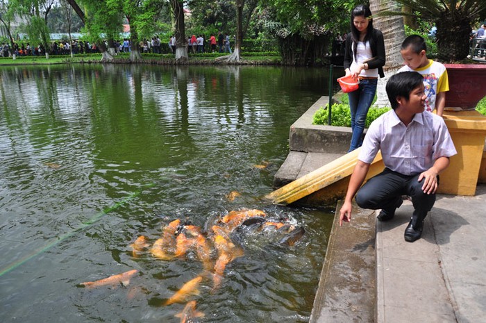 Trước kia, sau giờ làm việc Bác cũng ra cầu ao gọi cá cho ăn. Những con trắm, con chép, con mè... dần quen với những tiếng vỗ tay của Bác.