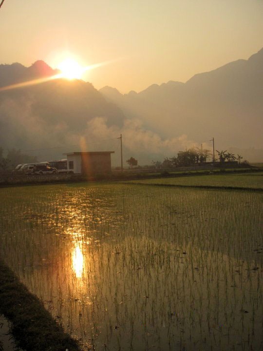 In bóng xuống những thửa ruộng lúa.