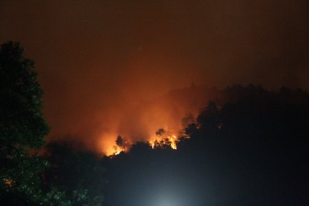 Vụ cháy rừng xảy ra vào tối qua 21/5.