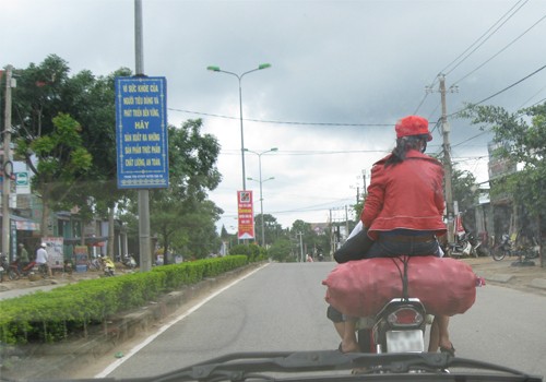 Ngồi trên cao rất nguy hiểm. Ảnh: Nguyen Van Minh.