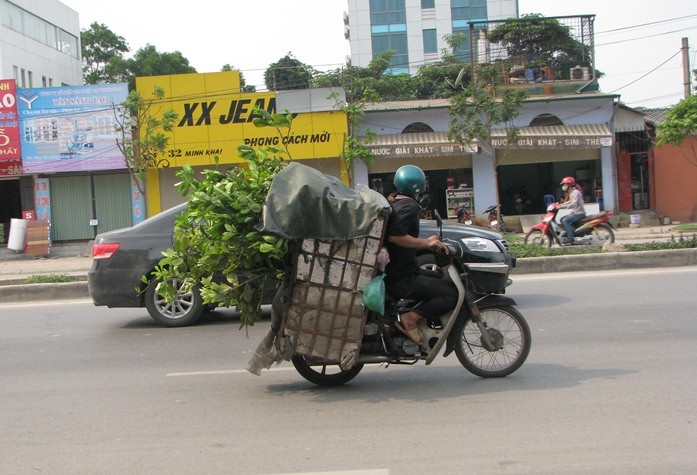 Quá khổ, quá tải khiến người lái chực... ngã