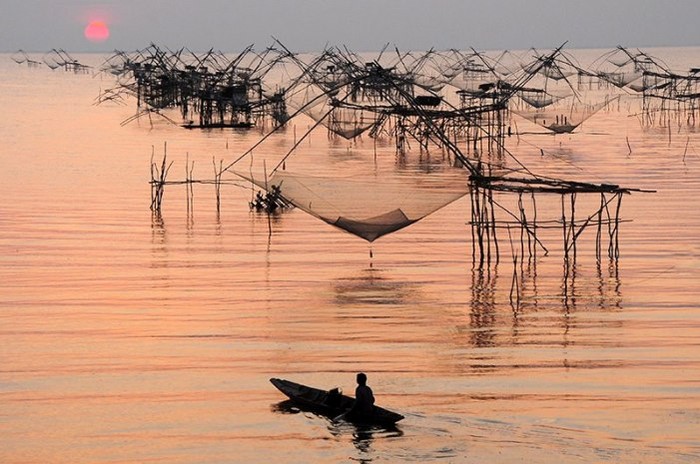 Chài lưới ( Tác giả: Andy Chua)