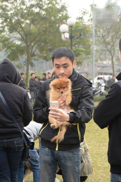 Nhiều bạn trẻ tỏ ra cưng chú chó của mình. Nhiều người coi những chú cún như người bạn thân, lắng nghe tâm sự.