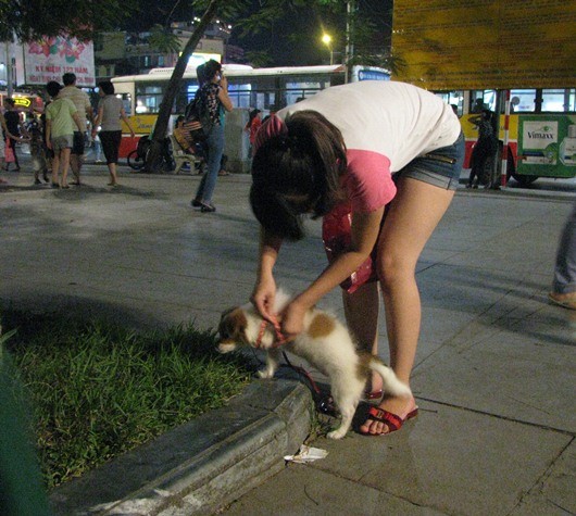 Chăm sóc và quan tâm cho thú cưng rất kỹ càng.