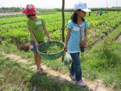 Chùm ảnh: Tìm giải pháp cải thiện khả năng học hỏi của trẻ Chùm ảnh: Chủ tịch nước trồng cây lưu niệm tại Trường ĐH KHXH & NV Chùm ảnh: Học sinh Hà Nội co ro trong cái lạnh đầu mùa