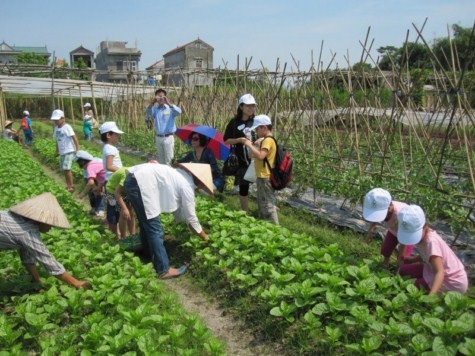 Các em tham quan và tham gia hoạt động trồng rau hữu cơ, nhổ cỏ, cùng làm thuốc trừ sâu bằng gừng, rượu, tìm hiểu quy trình ủ phân hữu cơ, đặt các câu hỏi cho các bác nông dân ... Chùm ảnh: Tìm giải pháp cải thiện khả năng học hỏi của trẻ Chùm ảnh: Chủ tịch nước trồng cây lưu niệm tại Trường ĐH KHXH & NV Chùm ảnh: Học sinh Hà Nội co ro trong cái lạnh đầu mùa