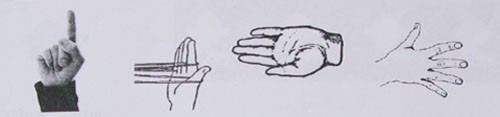 GV hướng dẫn: Hãy khoanh tròn vào hình bàn tay trái.