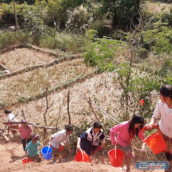 Từng đoàn, từng đoàn đem theo xô, chậu, sau tắm giặt là một xô nước mang về trường. Ảnh: LC