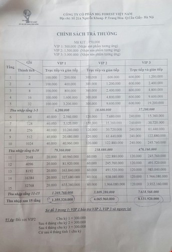 Sơ đồ trả thưởng của công ty Cổ phần Big Forest Việt Nam. Ảnh: Pháp luật Việt Nam