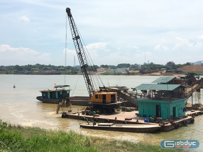 Công ty CP Khoáng sản Đông Dương AVA “hồn nhiên” khai thác cát ngay cạnh bãi bồi. Ảnh Lê Minh