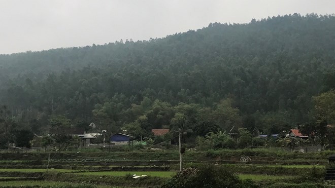 Cánh rừng phòng hộ bạt ngàn ở xã Bồ Lý sắp bị thay thế bằng nghĩa trang có quy mô hơn 2 triệu bộ hài cốt.