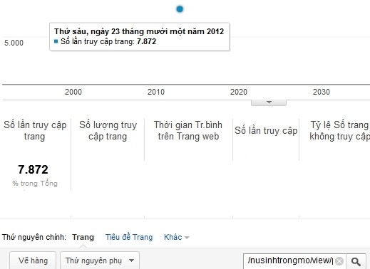 Chỉ số Google Analytics của Phạm Thị Ngọc Anh