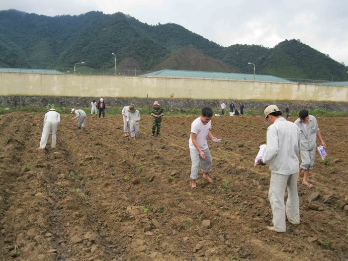 Người nghiện ma túy cai nghiện tại Trung tâm 05-06 đang lao động ngoài giờ. Ảnh Thùy Linh