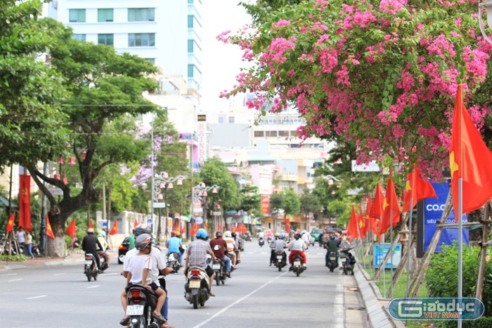 Đà Nẵng lắp đặt hệ thống camera giám sát an ninh, giao thông, trật tự trên địa bàn thành phố. Ảnh: Thùy Linh