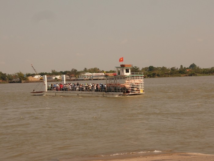 Những chuyến phà Bình An (TP.Vĩnh Long) như thoi đưa, đưa người Sài Gòn du lịch kiểu miệt vườn Nam Bộ.