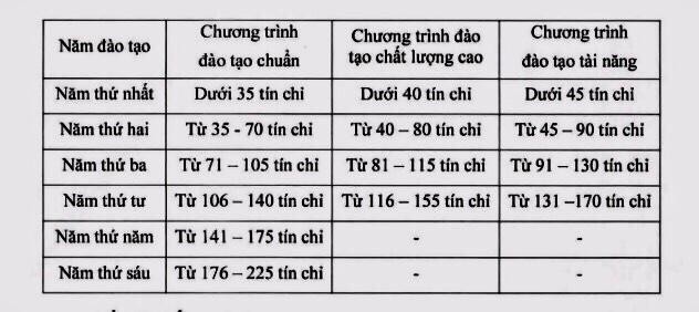 Ảnh chụp màn hình.