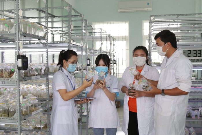 Giảng viên và sinh viên khoa Nông nghiệp và Phát triển nông thôn (Trường Đại học Kiên Giang) tại phòng thực hành nuôi cấy mô. Ảnh: Fanpage nhà trường