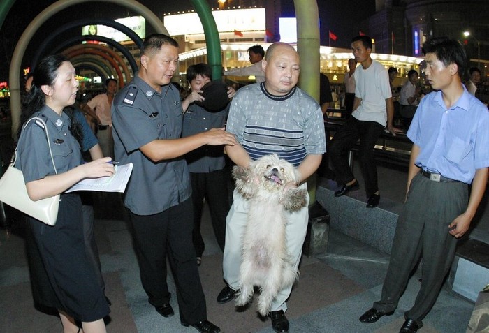 Động tác bắt chó được cho là nhẹ nhàng, nhân đạo nhất thuộc về cảnh sát Vũ Hán