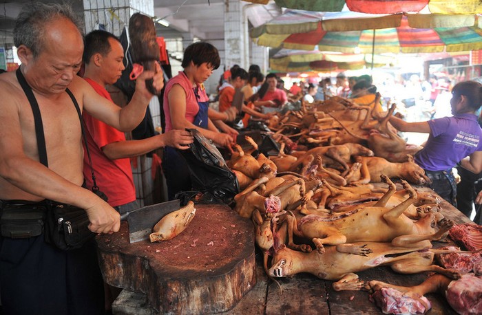 Quang cảnh chợ đầu mối thịt chó vẫn tấp nập như thường, dường như không bị ảnh hưởng bởi hoạt động của các nhà bảo vệ động vật