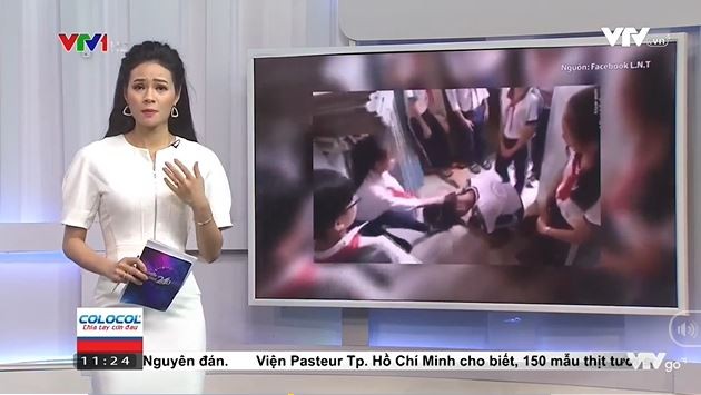 Ảnh minh họa chụp từ màn hình phóng sự của VTV.