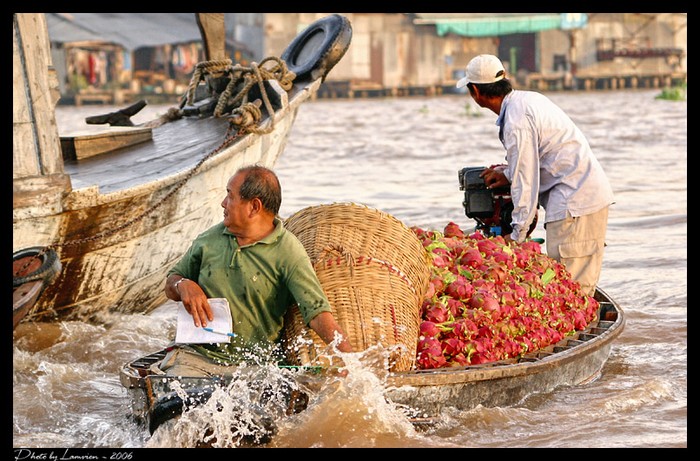 Cũng như bao ngôi chợ Việt, hàng hóa chợ nổi rất đa dạng, từ thực phẩm tươi sống, đặc sản hoa quả địa phương... Khác chăng là mỗi quầy hàng có thể di chuyển mọi lúc, mọi nơi. Cũng như bao ngôi chợ Việt, hàng hóa chợ nổi rất đa dạng, từ thực phẩm tươi sống, đặc sản hoa quả địa phương... Khác chăng là mỗi quầy hàng có thể di chuyển mọi lúc, mọi nơi.