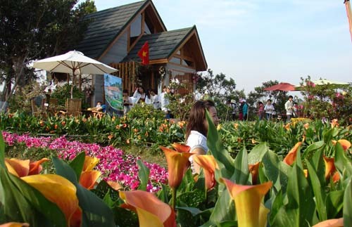 "Các bạn nghĩ sao về một lễ hội Carnaval đường phố? Hãy trải nghiệm nó ở Đà Lạt của chúng mình. Bạn sẽ được dạo bước trong một không gian ngập tràn hoa và ánh sáng trên những con phố thật đông vui, tấp nập.