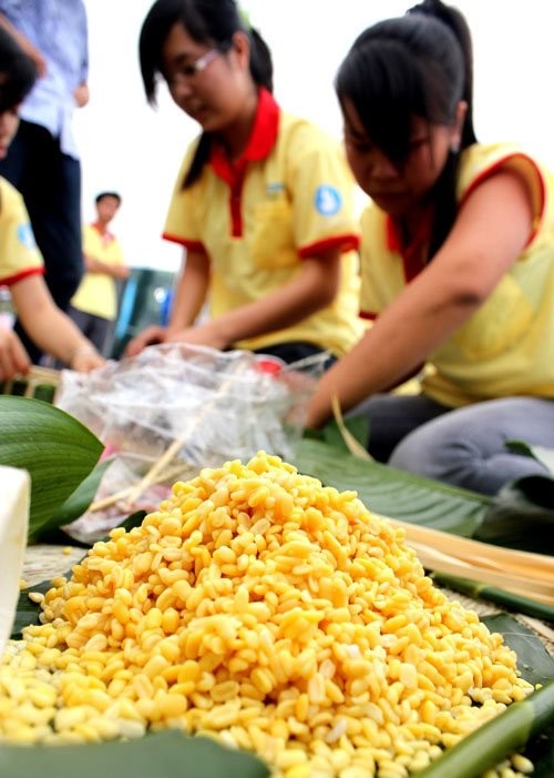 Các bạn sinh viên tự tay gói bánh chưng.