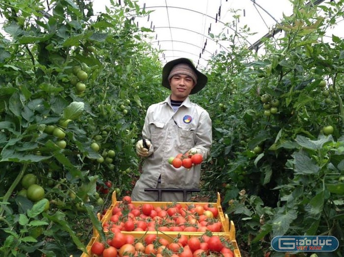 Những năm gần đây, tuyển sinh nhóm ngành nông - lâm nghiệp đều nhận được ít sự quan tâm của thí sinh. (Ảnh minh họa, nguồn: Trường Đại học Nông Lâm - Đại học Thái Nguyên)