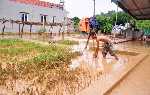 Trước đó, vào tháng 8/2016, Ủy ban nhân dân Thành phố Hạ Long đã có văn bản quyết định tạm đình chỉ Dự án Quần thể Du lịch nghỉ dưỡng FLC Hạ Long vì trong quá trình thi công, dự án này đã gây ngập lụt và tràn bùn vào nhà dân tại khu vực khu 3, phường Hà Trung, thành phố Hạ Long.