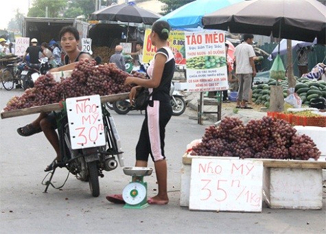 Cùng với thông tin "Nho Trung Quốc gắn mác Mỹ bán giá rẻ, xuất hiện nhiều ở miền Nam" thì tại Hà Nội, loại quả này đột ngột bán nhiều trên phố. Ảnh: Phan Dương.