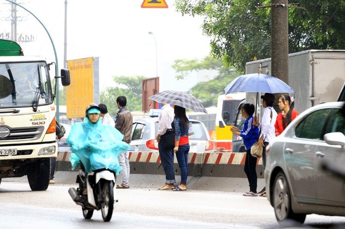 "Liều mình" băng ngang qua đường giữa các dòng xe cộ bất chấp nguy hiểm