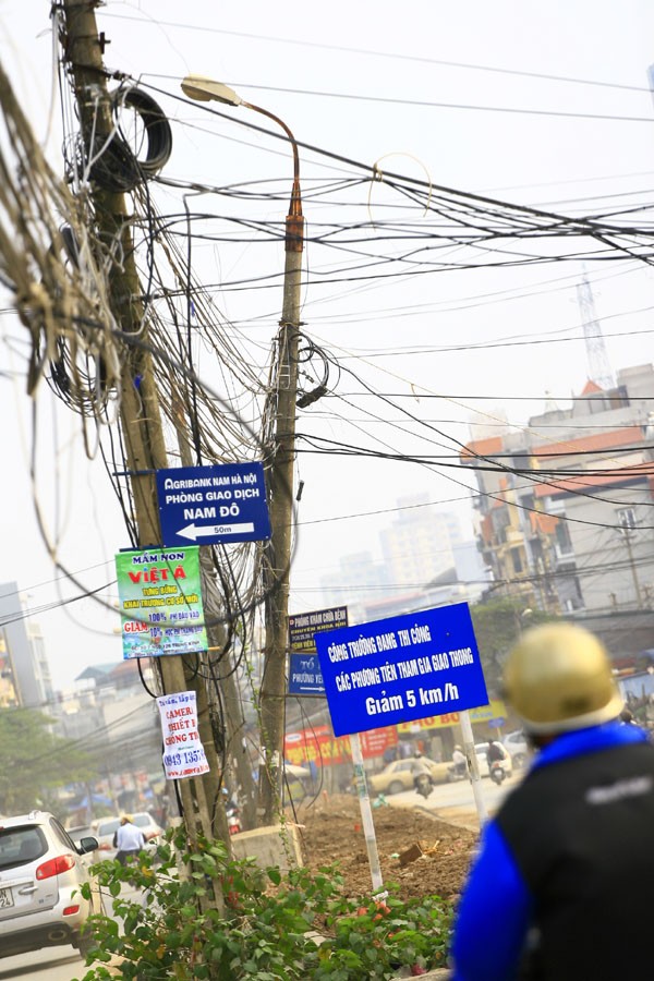 Một "nhân vật cá biệt" thò đầu ra khỏi "hàng" !