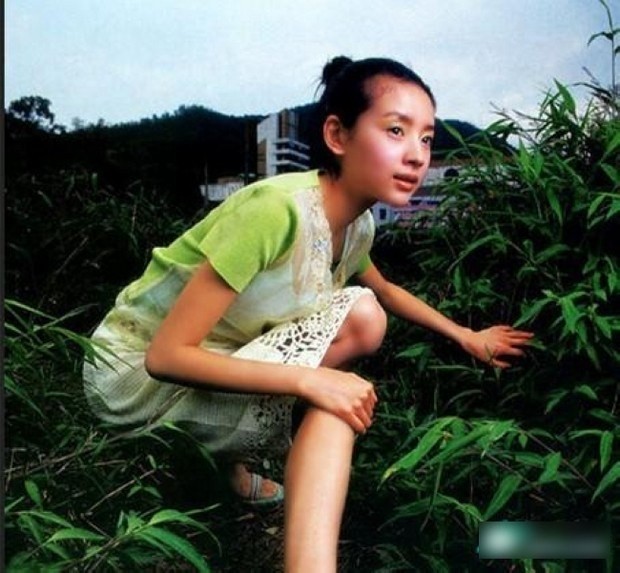 Năm 2000 cô gái nhỏ có ánh mắt trong veo như làn sương sớm được đạo diễn Trương chọn vào vai chính - Ngô Dĩnh, một cô gái khiếm thị trong "ngày tháng hạnh phúc".