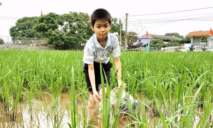 Nam sinh Nguyễn Văn Nghĩa bị đục thủy tinh thể bẩm sinh cả 2 mắt, rất cần sự hỗ trợ, giúp đỡ của các nhà hảo tâm (Ảnh: Lương Thiện)