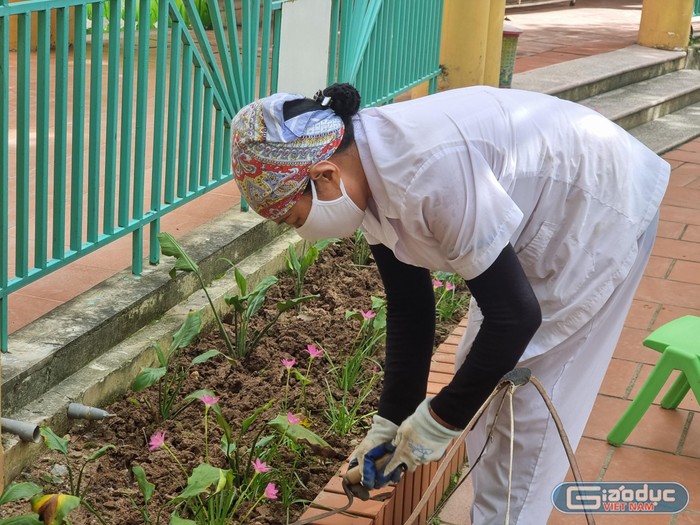 Nhân viên nhà trường trồng từng luống hoa, tạo không gian rực rỡ sắc màu chào năm học mới (Ảnh: Phương Linh)